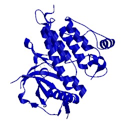 Image of CATH 5a9u