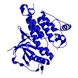 Image of CATH 5aa9