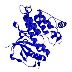 Image of CATH 5aaa