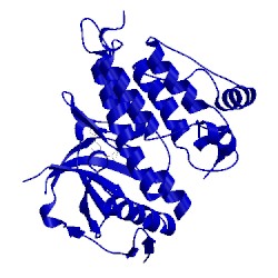 Image of CATH 5aab