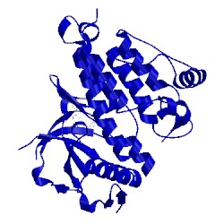 Image of CATH 5aac