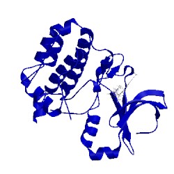 Image of CATH 5aag