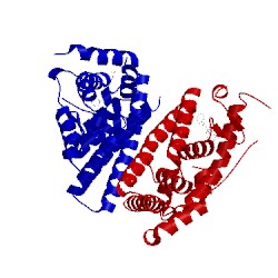 Image of CATH 5aav