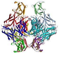 Image of CATH 5aaw