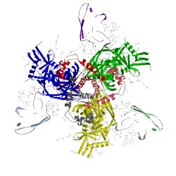 Image of CATH 5aco