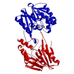 Image of CATH 5acp