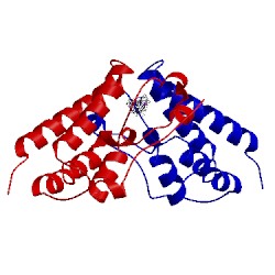 Image of CATH 5ad2