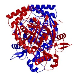 Image of CATH 5ada