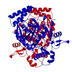 Image of CATH 5adf