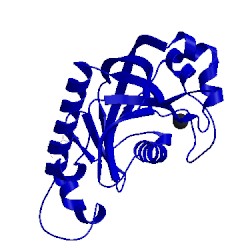 Image of CATH 5ae0