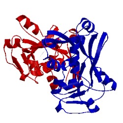 Image of CATH 5ae4