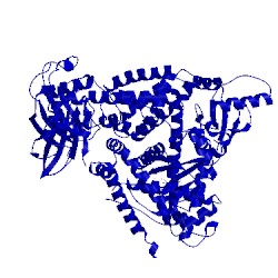 Image of CATH 5ae9