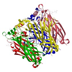 Image of CATH 5afj