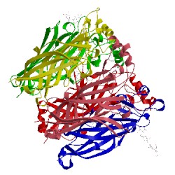 Image of CATH 5afl