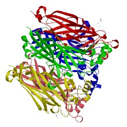 Image of CATH 5afm