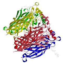 Image of CATH 5afn