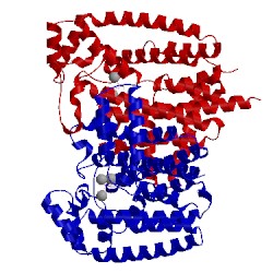 Image of CATH 5afx