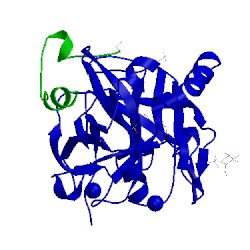 Image of CATH 5afy