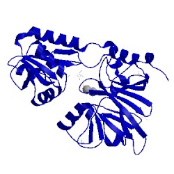 Image of CATH 5aho