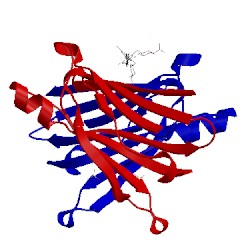 Image of CATH 5aks