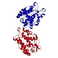 Image of CATH 5ala