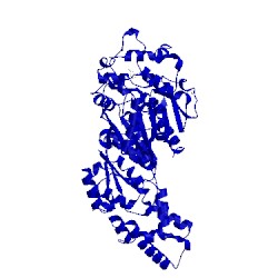 Image of CATH 5alg