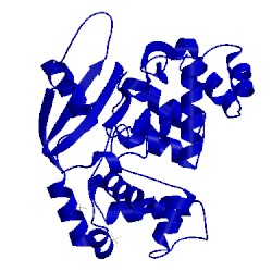 Image of CATH 5an4
