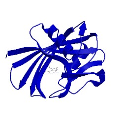 Image of CATH 5ans