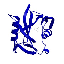 Image of CATH 5anw