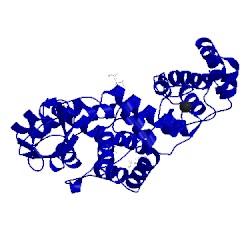 Image of CATH 5anz