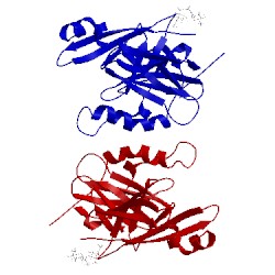Image of CATH 5aoq