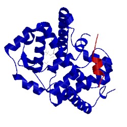 Image of CATH 5aph