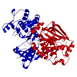 Image of CATH 5ar7