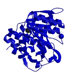 Image of CATH 5ard