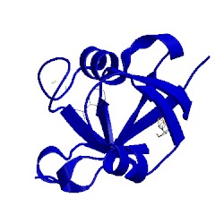 Image of CATH 5aui