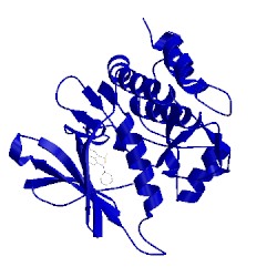 Image of CATH 5aut
