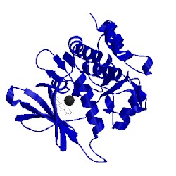 Image of CATH 5auv