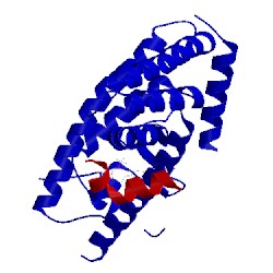 Image of CATH 5avl