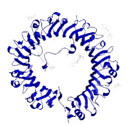 Image of CATH 5awd