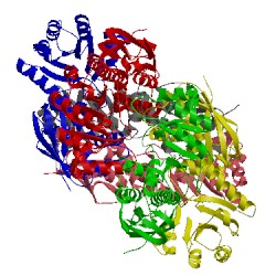 Image of CATH 5ayx