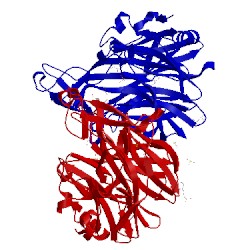 Image of CATH 5b0p