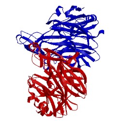 Image of CATH 5b0q