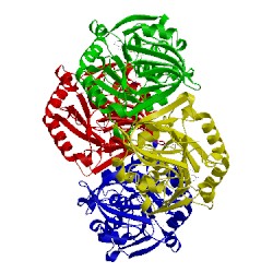 Image of CATH 5b1s