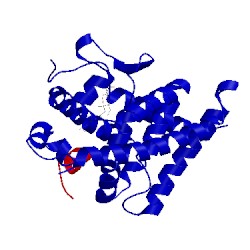 Image of CATH 5b41