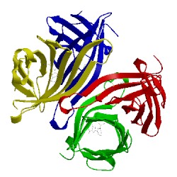Image of CATH 5b5f