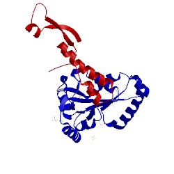 Image of CATH 5b64