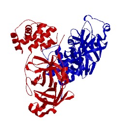 Image of CATH 5b6o