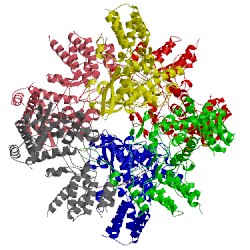 Image of CATH 5b7b