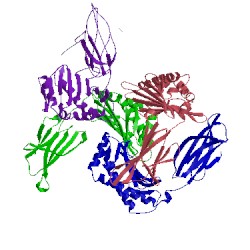 Image of CATH 5bjt