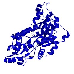 Image of CATH 5bmy